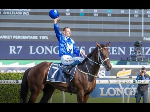 Winx - ALL 43 Races (2014 - 2019)