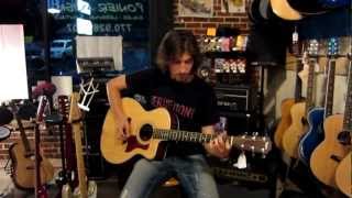 Ponier Music Woodstock Taylor Guitar 214 Demo