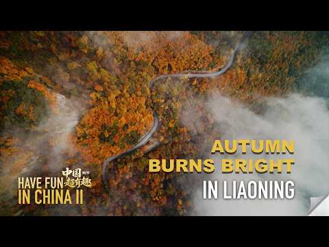 Have Fun in China II | Autumn burns bright in Liaoning