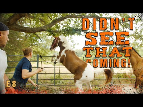 The Most Difficult Horse He's Ever Seen