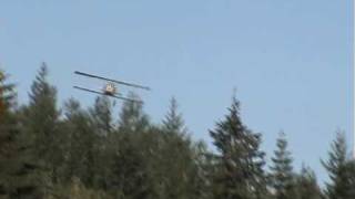 preview picture of video 'Aerodrome R/C's 1:8 Scale Pfalz D.VII'