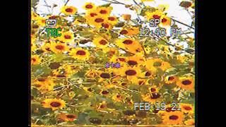 ❴☀️❵ The Neighbourhood.Ft Nipsey Hussle - Livin&#39; in a dream❜ ❲·¯´´❅Slowed+Reverb❅´´·¯❳