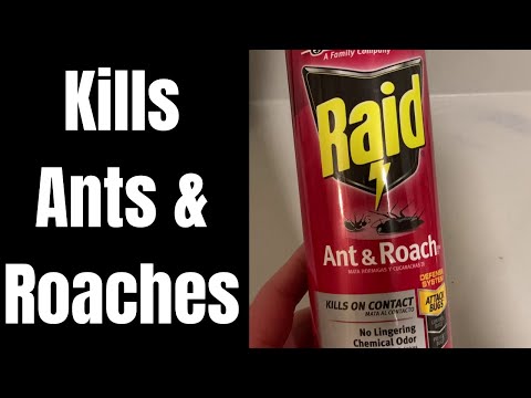 Raid Ant & Roach Spray