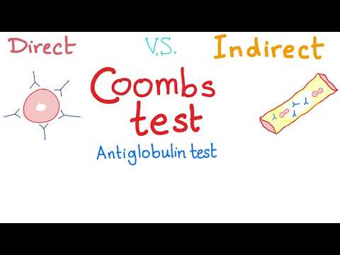 Direct vs. Indirect Coombs Test - Hematology and Biochemistry Lab