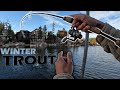 Trout Fishing Big Bear Lake: Catch & Cook