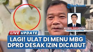 Lagi-lagi Ada Ulat di Menu MBG, DPRD Kalteng Minta Sanksi Tegas ke Penyedia Makanan