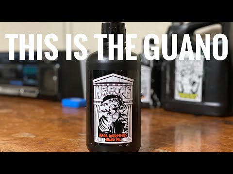 What’s the right Nectar for the Gods regimen for your grow? Part13 | OCGFAM614