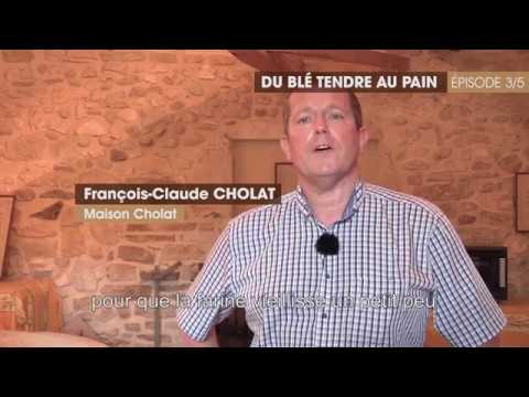 [Au Fil du Grain] Du blé tendre au pain : le meunier | Les Céréales