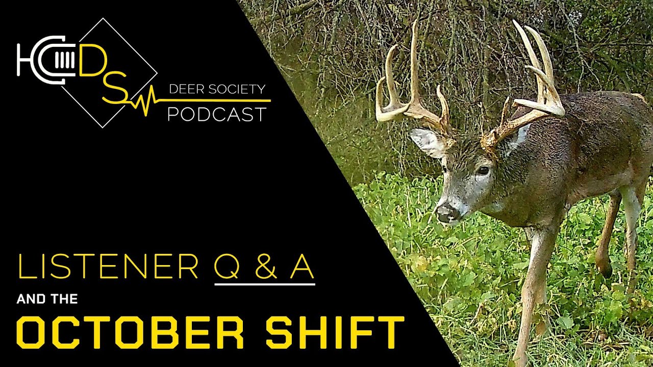 The October "SHIFT" Q&A, PreRut, Food Plots, Hunting Tactics... The Deer Society