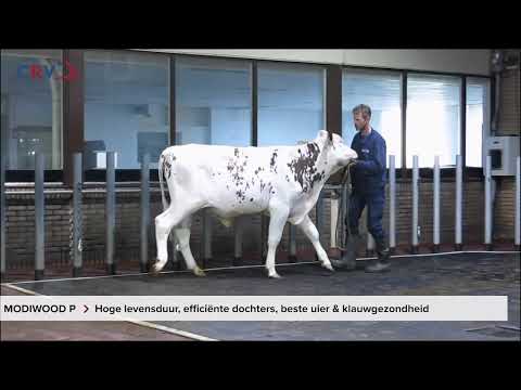 Delta Modiwood P-Red