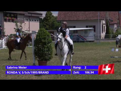 CS Wohlen Prüfung Nr. 13 Green Jump Wertung A mit ZM Idealzeit (28.07.2013)