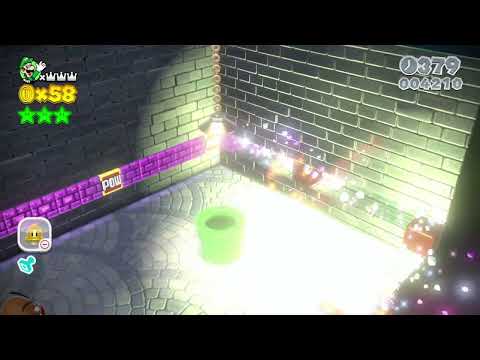 Super Mario 3D World 5-5 Speedrun - Time: 23