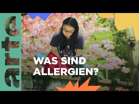 Fragestunde: Allergien | Arte Family
