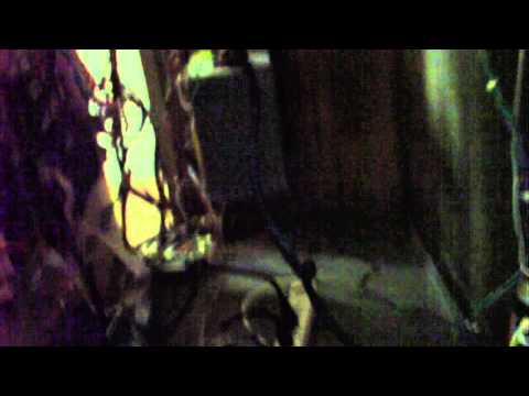 Makvision 25" Tri Mode Mame Monitor Review