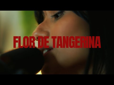 Gabi Monteiro Session #4 | Flor De Tangerina