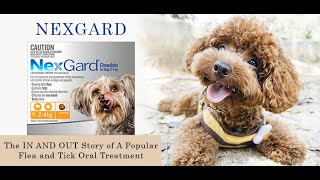 Best Flea and Tick Treatment for Dogs - Nexgard Chewables | Pet Care | VetSupply