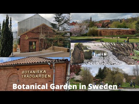 Botanical Garden in Sweden gothenburg #Different types of Cherry Blossoms,Relaxing nature, Spring