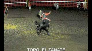 preview picture of video 'TORO: EL ZANATE'