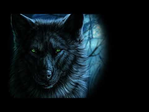 Xenoo - Nie chcę widzieć twoich łez