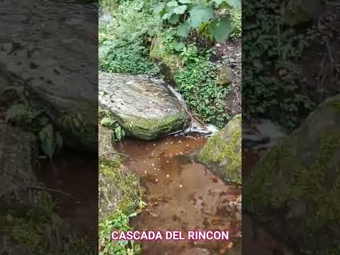 CASCADA MAGICA🇦🇷 #viralvideo #shortsviralvideo #viralreels #cascadas #tucuman