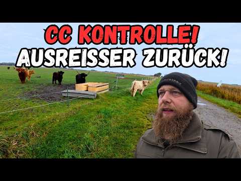 Unannounced conditionalities check at the door 😱 - FarmVLOG#1147