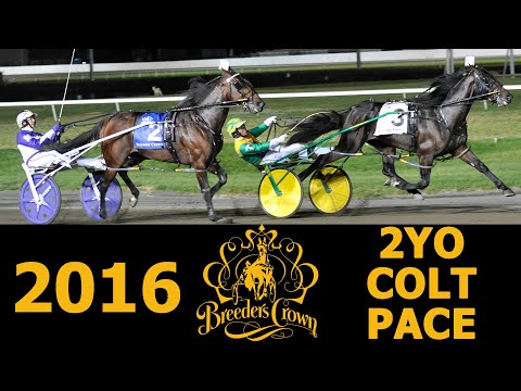 2016 Breeders Crown - Huntsville - 2CP