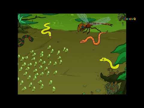 [Futurama] Kif's Birthing Process