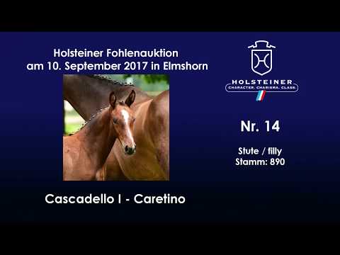 Nr. 14 v. Cascadello I - Caretino