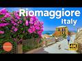 Riomaggiore Cinque Terre Italy Walking Tour 4K 60fps ️Voyatours