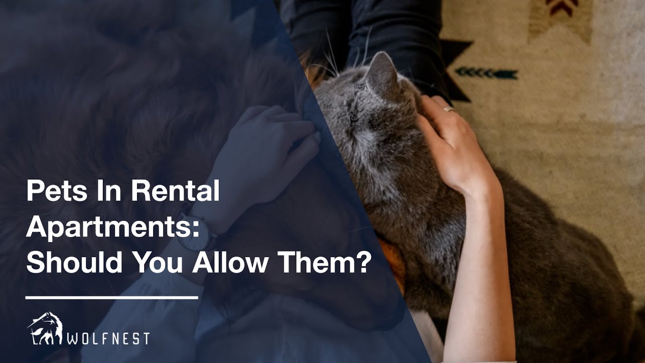 Pets in Rental Apartments Should You Allow Them?