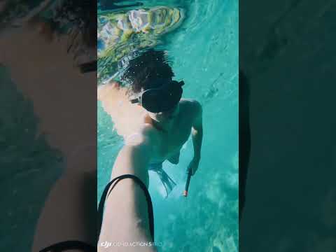 plongée #travel #nature #beautiful #beach #love