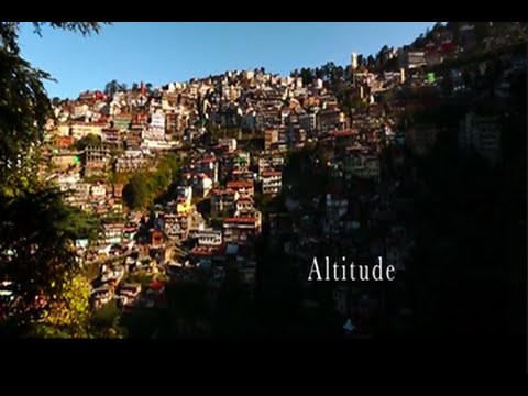 Altitude | The Dewarists (S02E06)