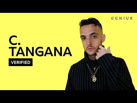 C. Tangana "Un Veneno" Letra Oficial Y Significado | Verified