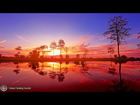 THE Best Positive Good Morning Music 432Hz