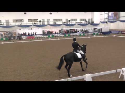 Hannah & Stanley Novice Restricted Freestyle Winter Championships 2016