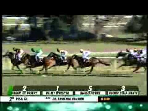 09/03/2014, Pisa , Premio Armando Renzoni