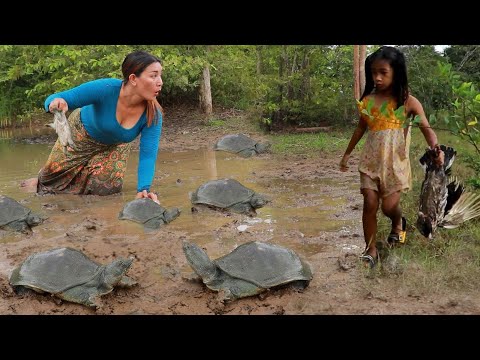 Catch many turtle & Duck for food-Cooking turtle spicy with water coconut recipe +4food so delicious
