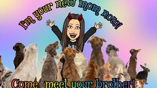 For The Sake of Being Humane Benefit