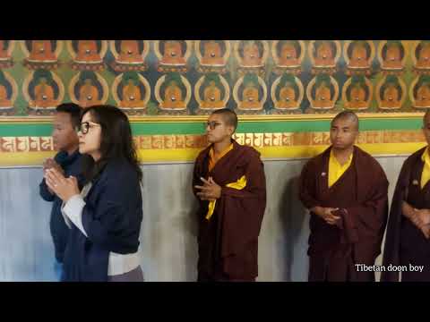 Dungse Thinley Norbu Rinpoche Yangsi and Orgyen Tobgyal Rinpoche Arrived at Clementown Dhondupling💐