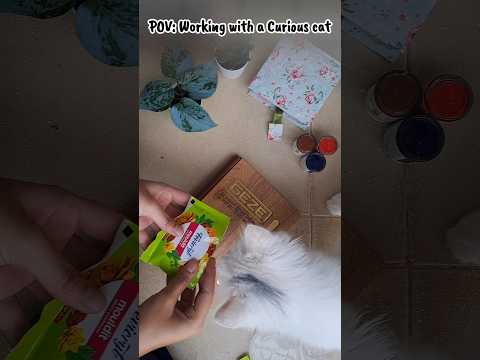 What's its like working with a cat around😂