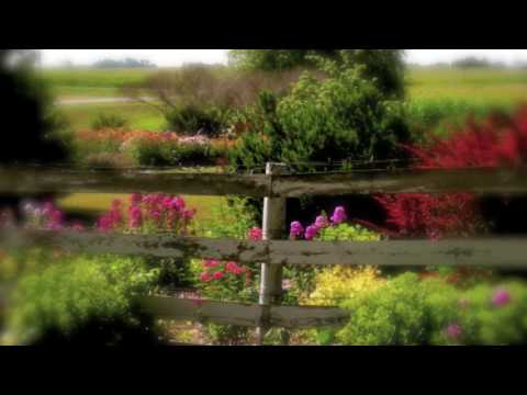The Enchanted Garden - Kevin Kern