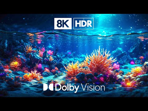 Ocean's Paradise in Dolby Vision™ 8k HDR