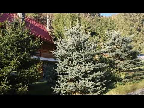 Rajecká chata okolie