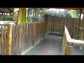 Montezooma S Revenge Knott S Berry Farm