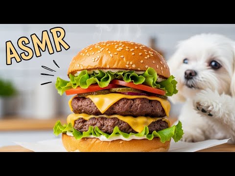 【ASMR】Juicy Sounds of a Maltese Cooking Cheese Hamburger 🐶🔥 #DogASMR #SizzleMagic