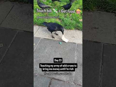 บินไปคาบเงินมาให้พ่อเร็ว @broke.itachi