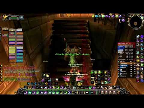 Classic Wow: Zul'Gurub Resto Druid PoV (full run)