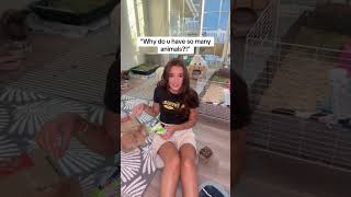 6 to be exact ? / Eva Miller TikTok #evamiller #tiktok #shorts #trending #ytshorts #short