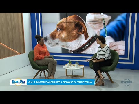 Qual a importância de manter a vacinação do seu pet em dia? 02 01 2023