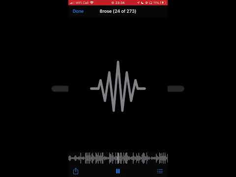 #18 (AR) 8rose x zidz x dillz